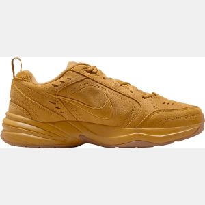 Nike Men's Air Monarch SE Shoes