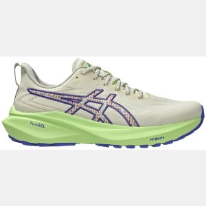 ASICS Men's GT-2000 13 TR Running Shoes