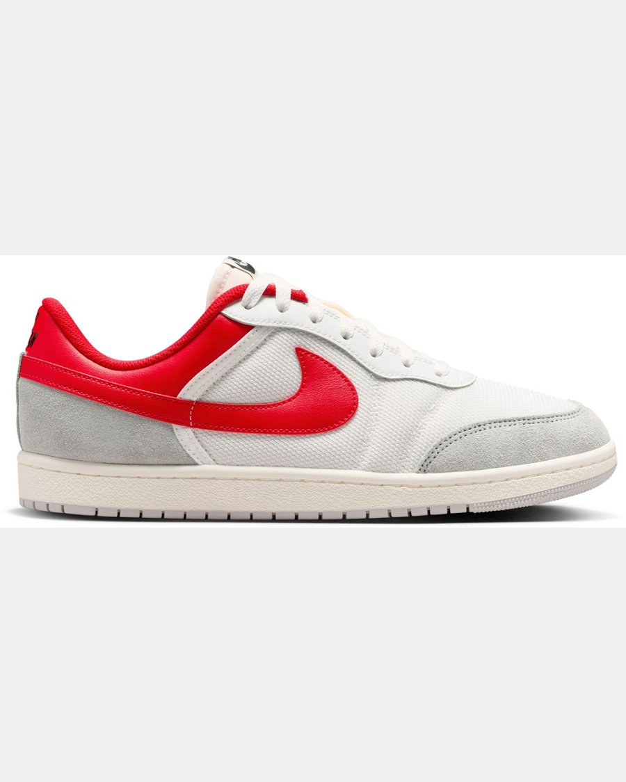 Air Jordan Skyline Low Shoes