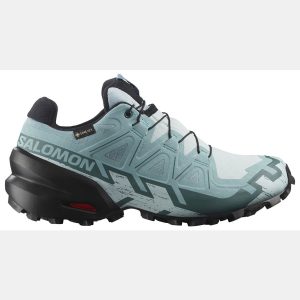 Salomon Women's Speedcross 6 GTX Trail Running Shoes