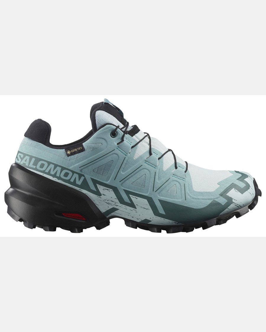 Salomon Women's Speedcross 6 GTX Trail Running Shoes