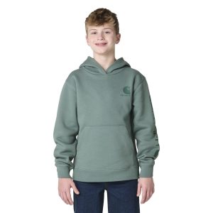 Carhartt Boys' Logo Graphic Hoodie