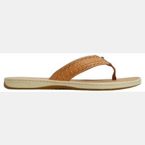 Sperry Women's Seafish 3 Flip Flop