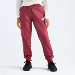 The North Face Kids' TNF Performance Fleece Jogger