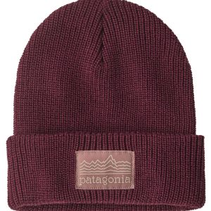 Patagonia Youth Logo Beanie