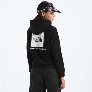 The North Face Kids' Evolution Box NSE Pullover Hoodie