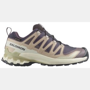 Salomon Women's XA Pro 3D V9 GTX Shoe